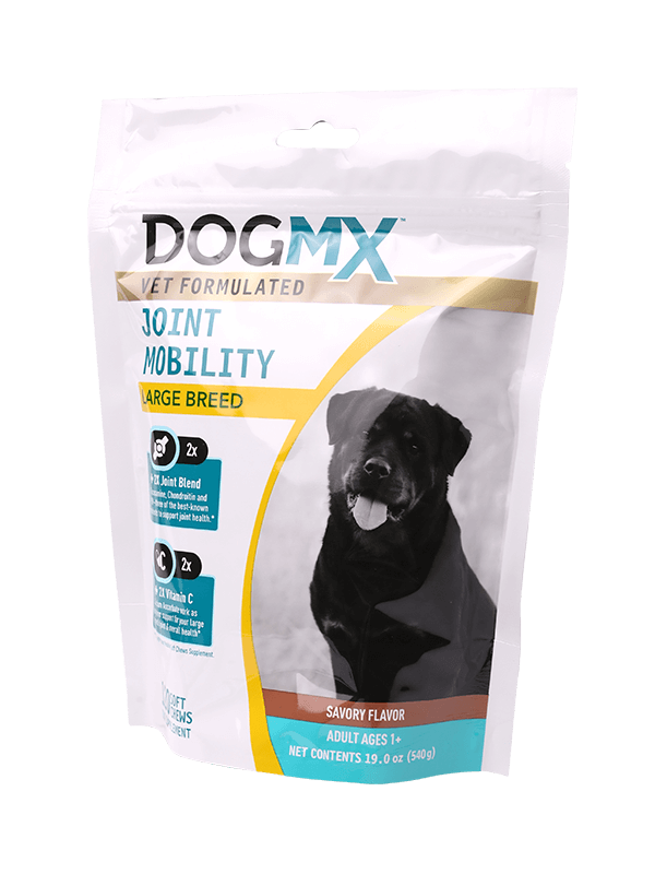 Humorem probationem plastic sarcina peram cum zipper marsupium