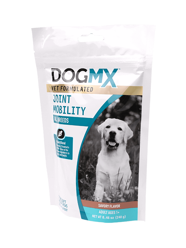 Bonum signavit resealable plastic marsupium cum elit scriptor excudendi sacculi